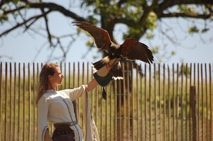 photo sharing 243516630_b9d99ff490