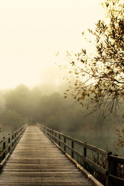 TimeovertheBridgebynulus521023_6-med