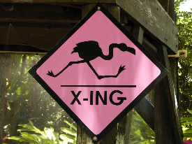 FlamingoCrossingbylumix535108_26-med