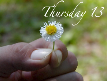 HandHoldingDaisybyBubbels124147_-T13