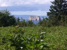 Village- Cynthia Owens, Author of Keeper of the Light, an Irish historical romance